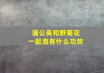 蒲公英和野菊花一起泡有什么功效