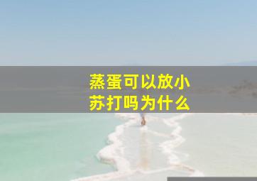 蒸蛋可以放小苏打吗为什么