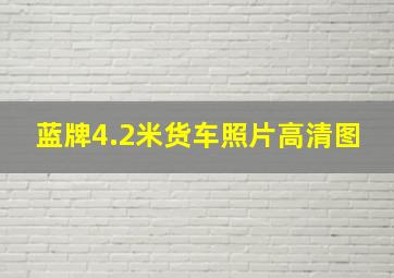 蓝牌4.2米货车照片高清图