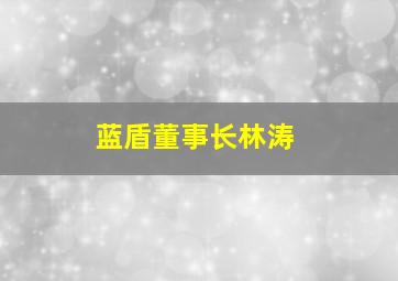 蓝盾董事长林涛