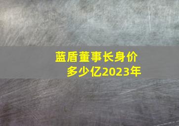 蓝盾董事长身价多少亿2023年