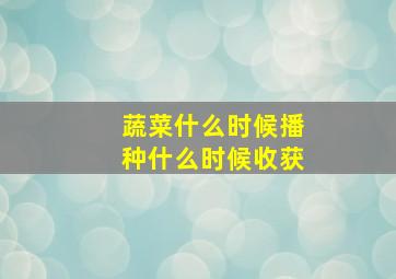 蔬菜什么时候播种什么时候收获