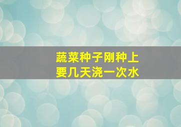 蔬菜种子刚种上要几天浇一次水