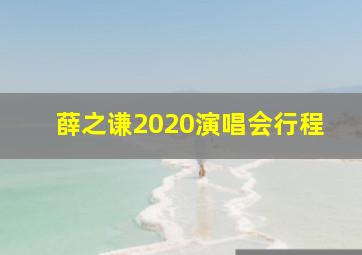 薛之谦2020演唱会行程