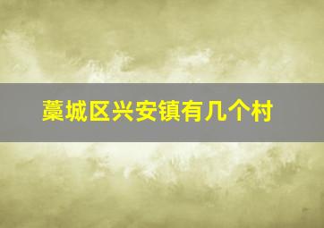 藁城区兴安镇有几个村