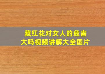 藏红花对女人的危害大吗视频讲解大全图片