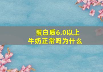 蛋白质6.0以上牛奶正常吗为什么