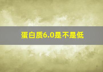 蛋白质6.0是不是低