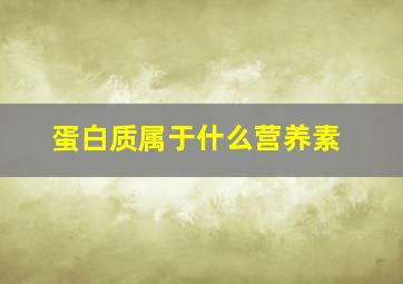 蛋白质属于什么营养素