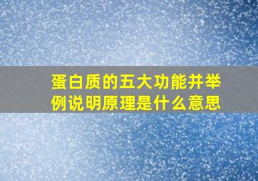 蛋白质的五大功能并举例说明原理是什么意思