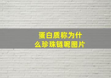 蛋白质称为什么珍珠链呢图片