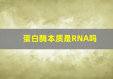 蛋白酶本质是RNA吗