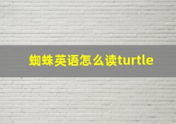 蜘蛛英语怎么读turtle