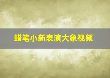 蜡笔小新表演大象视频