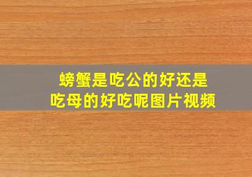 螃蟹是吃公的好还是吃母的好吃呢图片视频