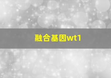 融合基因wt1