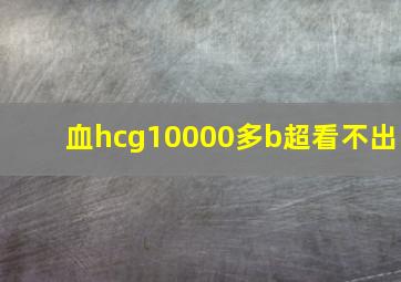 血hcg10000多b超看不出