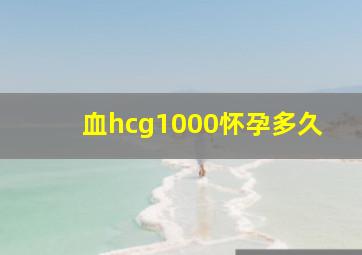 血hcg1000怀孕多久