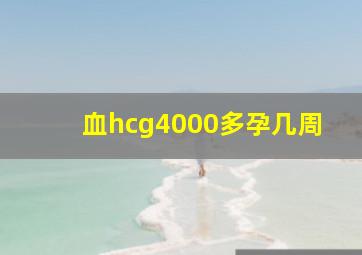 血hcg4000多孕几周