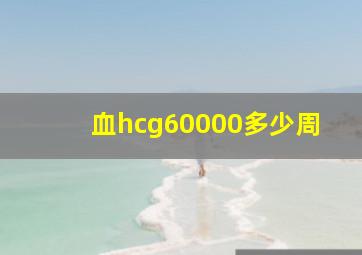 血hcg60000多少周