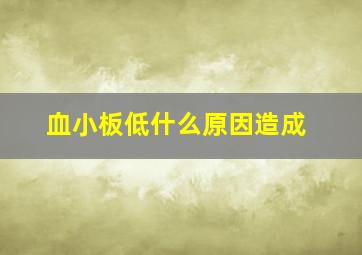 血小板低什么原因造成