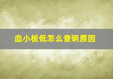 血小板低怎么查明原因