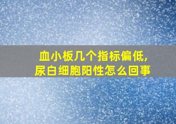 血小板几个指标偏低,尿白细胞阳性怎么回事