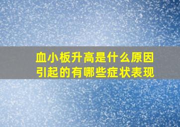 血小板升高是什么原因引起的有哪些症状表现