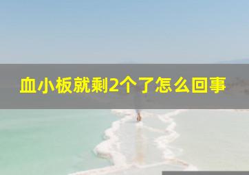 血小板就剩2个了怎么回事