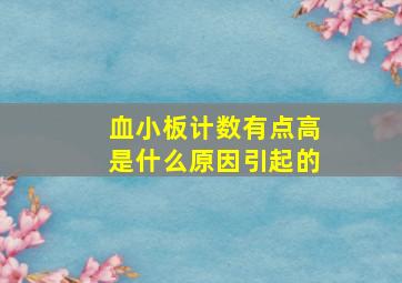 血小板计数有点高是什么原因引起的