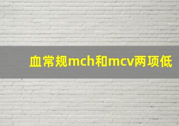 血常规mch和mcv两项低