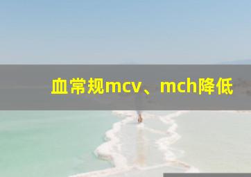 血常规mcv、mch降低