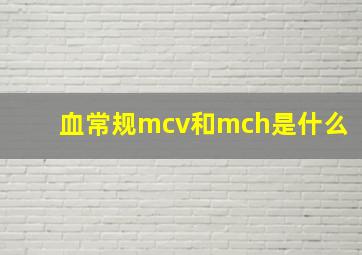 血常规mcv和mch是什么