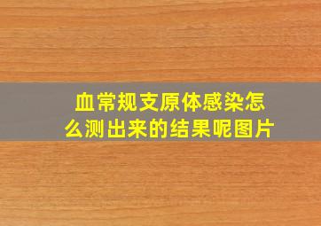 血常规支原体感染怎么测出来的结果呢图片