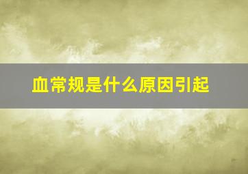 血常规是什么原因引起