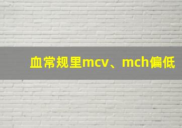 血常规里mcv、mch偏低