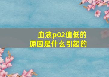 血液p02值低的原因是什么引起的