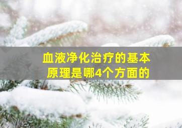 血液净化治疗的基本原理是哪4个方面的