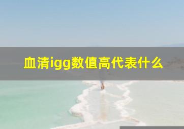 血清igg数值高代表什么