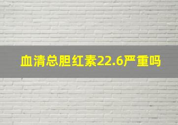 血清总胆红素22.6严重吗