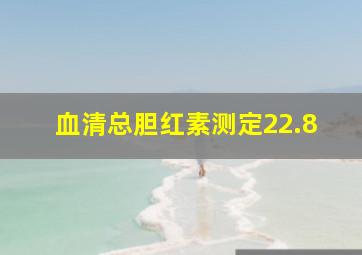 血清总胆红素测定22.8