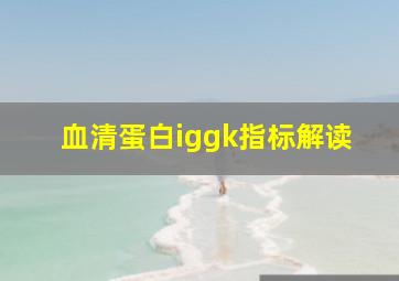 血清蛋白iggk指标解读