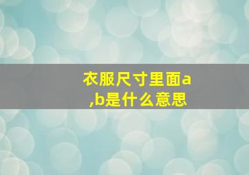 衣服尺寸里面a,b是什么意思