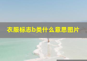 衣服标志b类什么意思图片