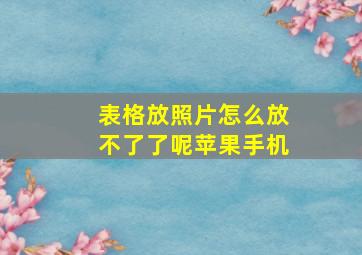 表格放照片怎么放不了了呢苹果手机