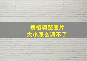 表格调整图片大小怎么调不了