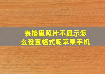 表格里照片不显示怎么设置格式呢苹果手机