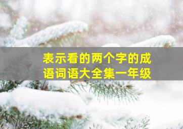 表示看的两个字的成语词语大全集一年级