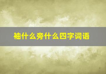 袖什么旁什么四字词语