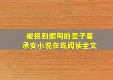 被拐到缅甸的妻子董承安小说在线阅读全文